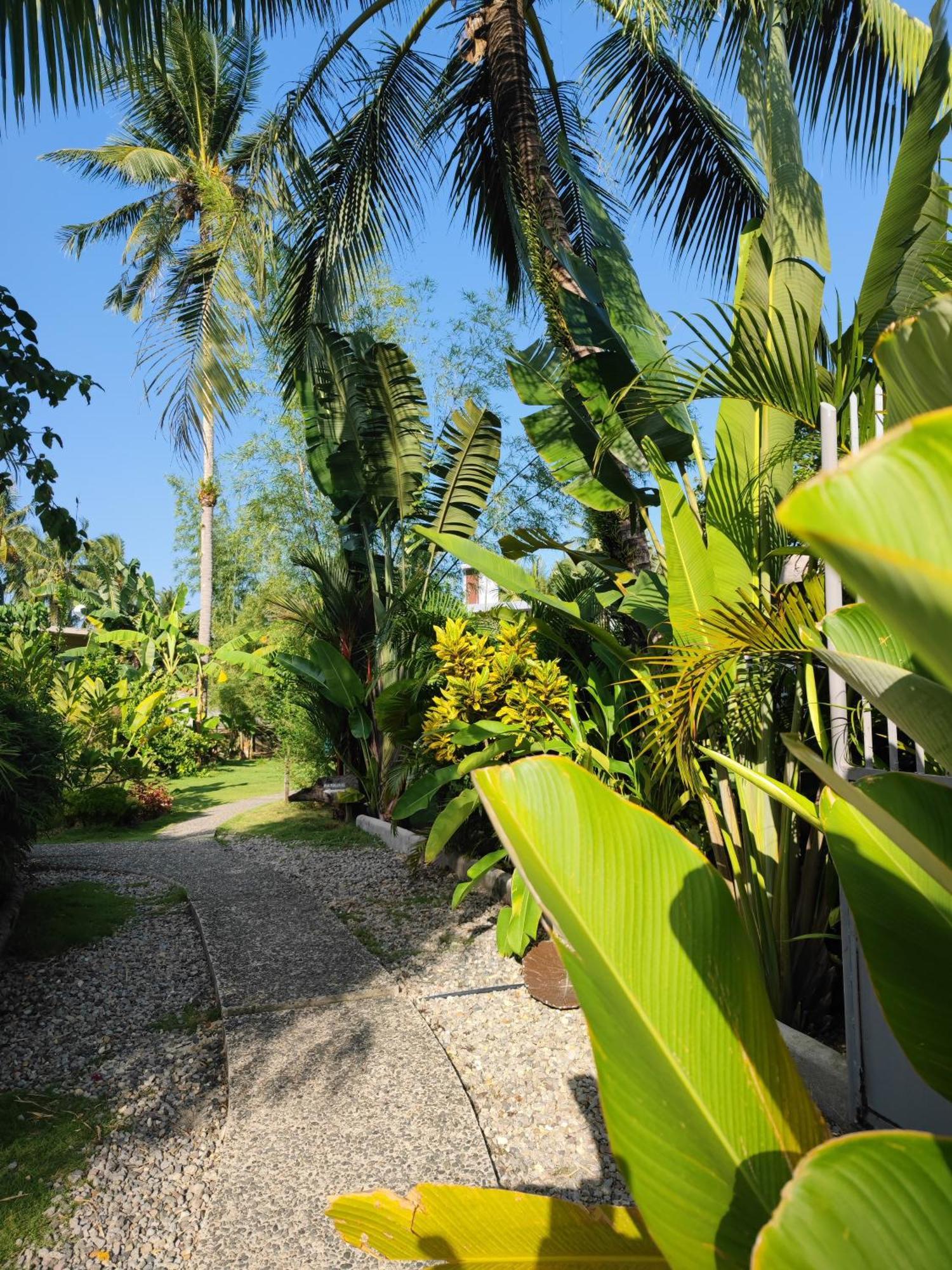 Daluyong Beach Resort General Luna  Exteriér fotografie